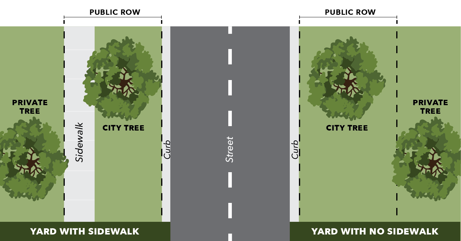 Trees Public ROW