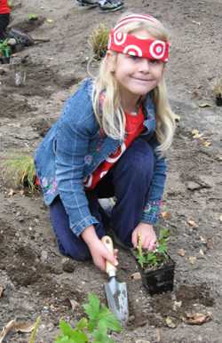 volunteer gardner