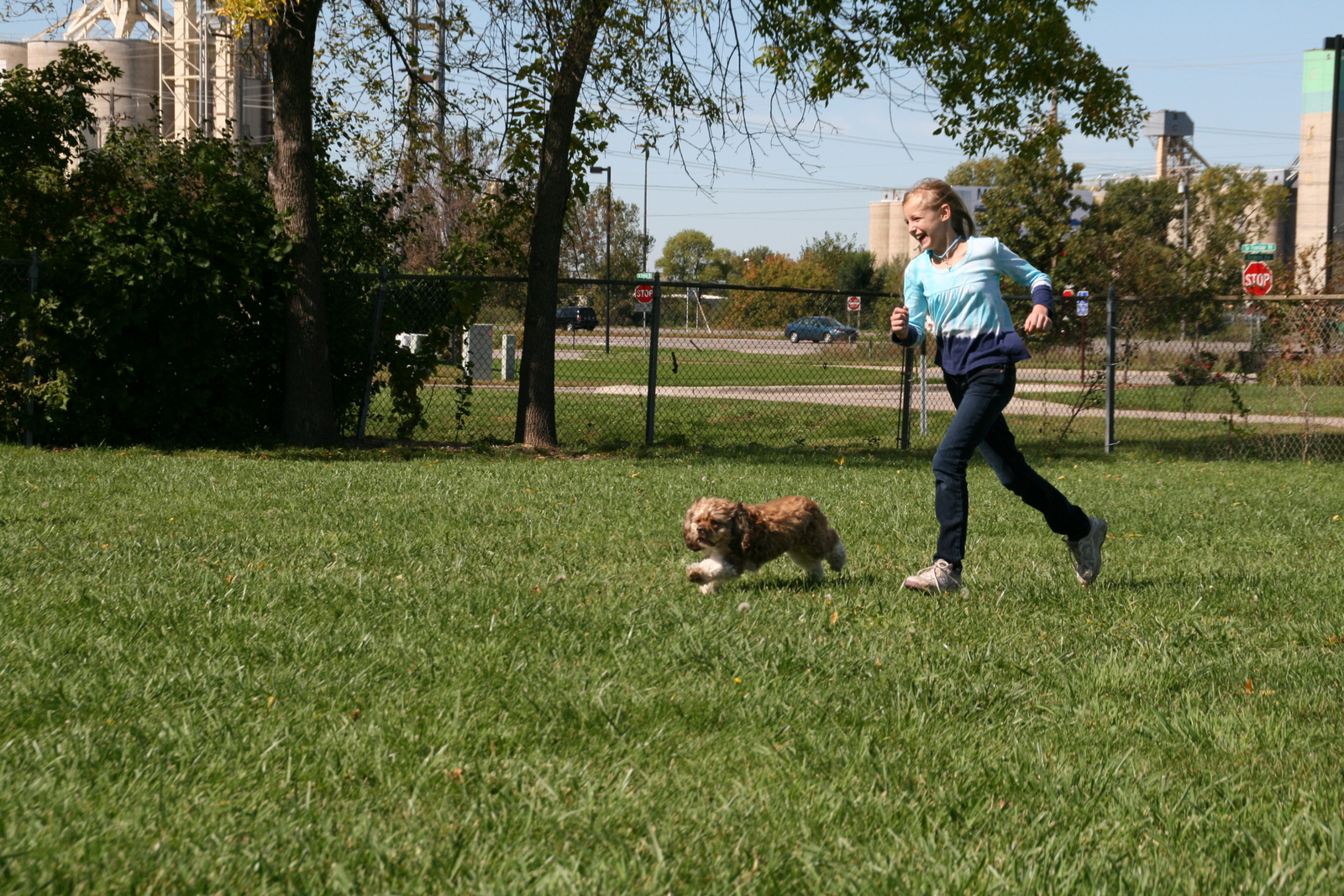 DogPark_5