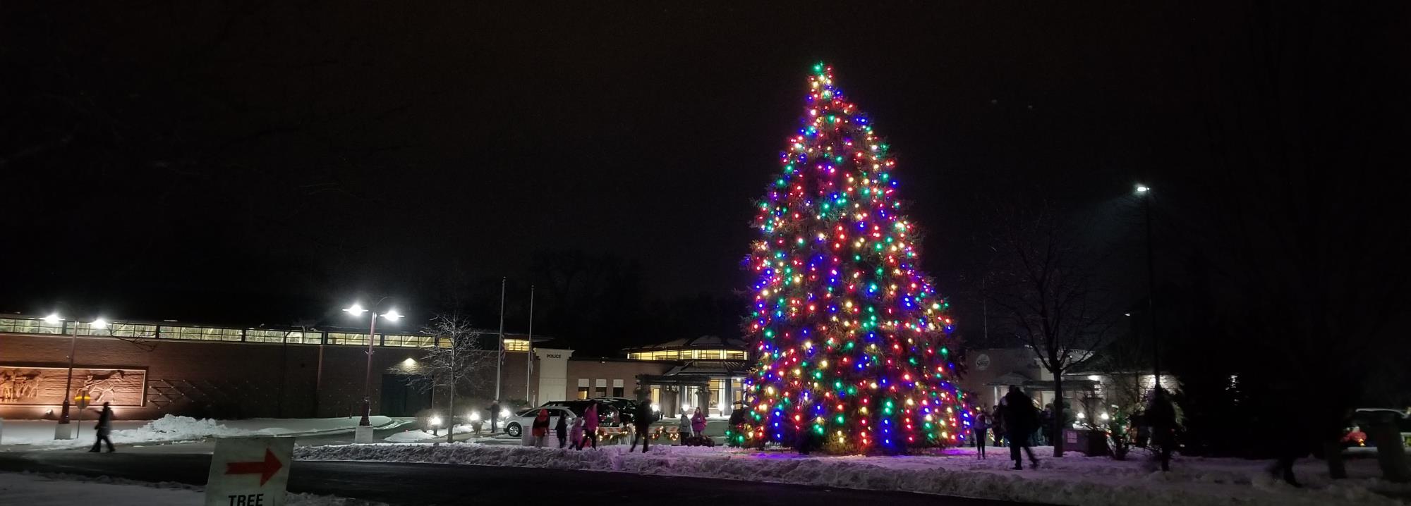 Tree Lighting